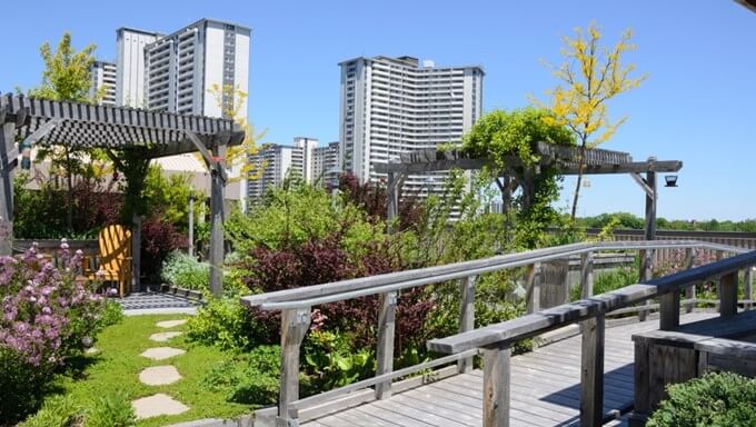 Shutterstock Image 2