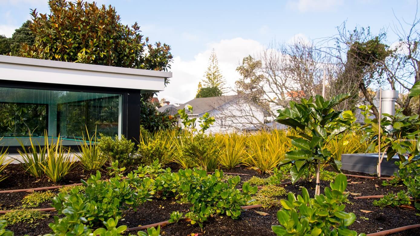 Viking Roof Garden more than meets the eye